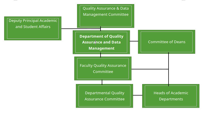 Organogram of the Department